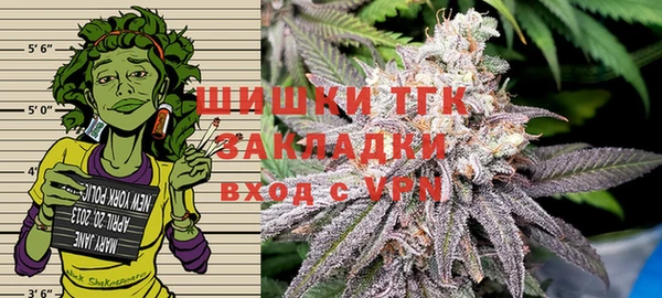 твердый Михайлов