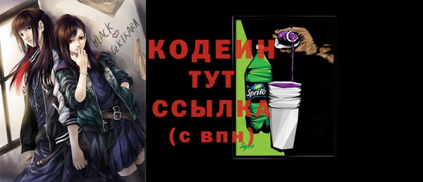 твердый Михайлов