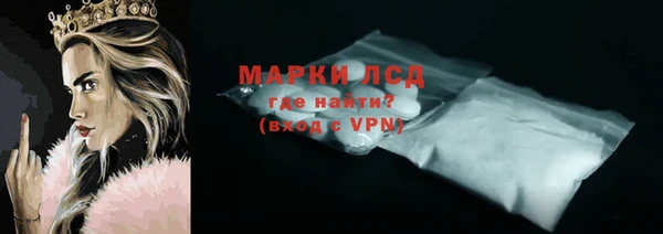 твердый Михайлов