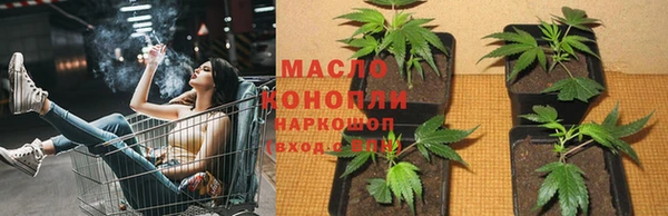 твердый Михайлов