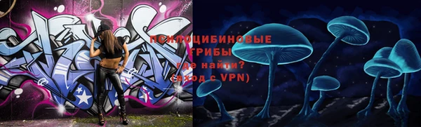 твердый Михайлов