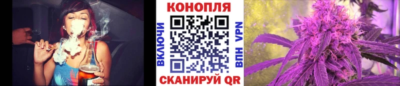 Купить где  Гдов  Конопля марихуана 